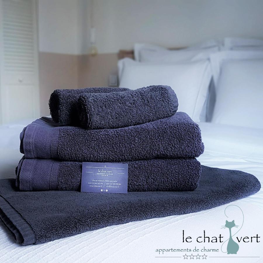 Le Chat Vert - Appartements Adults Only Saint-André Buitenkant foto